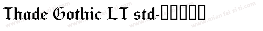 Thade Gothic LT std字体转换